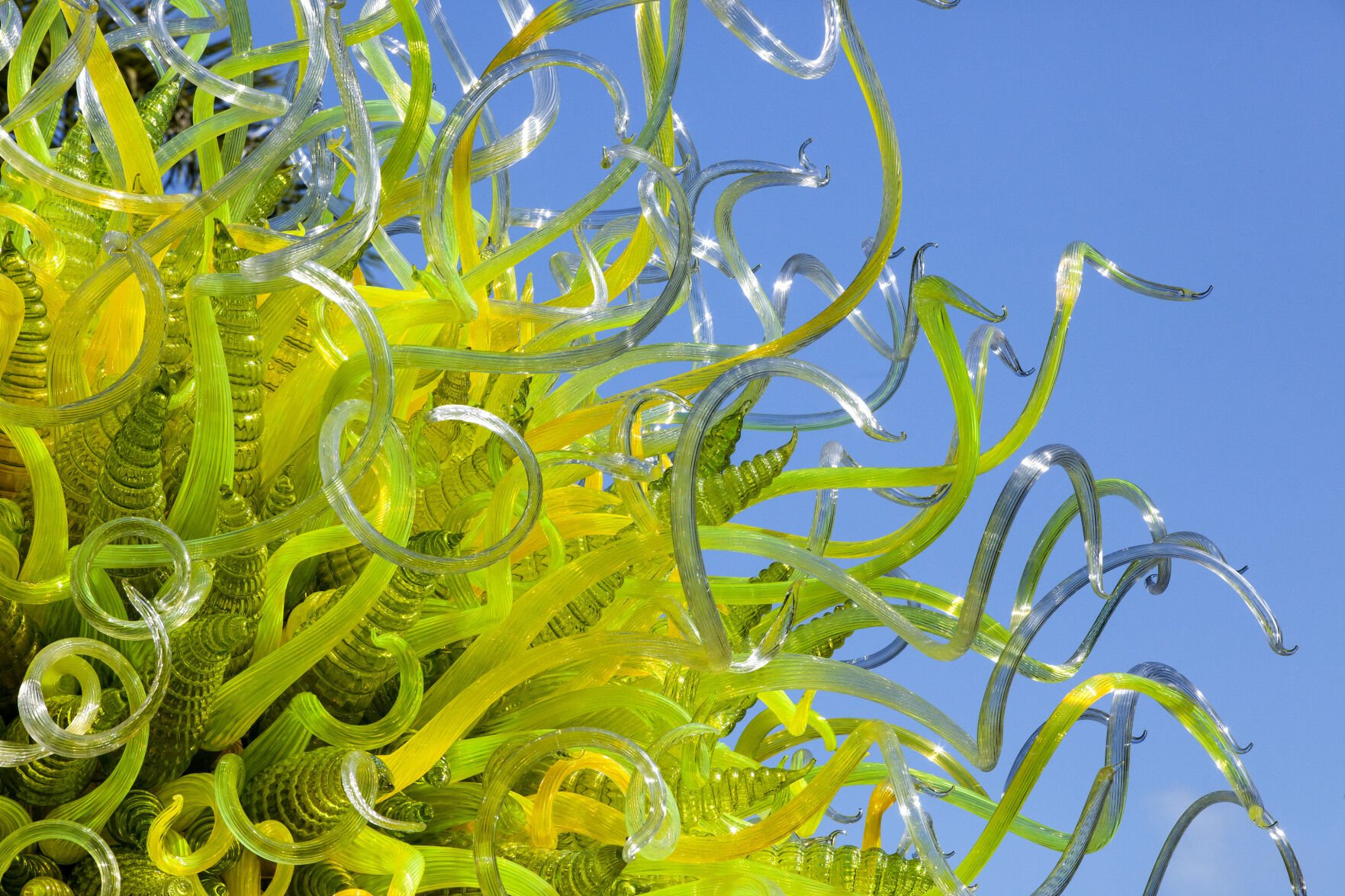 Dale Chihuly Sol del Citrón (detail), 2014 15 x 14½ x 14’ Fairchild Tropical Botanic Garden, Coral Gables, Florida © 2021 Chihuly Studio. All Rights Reserved..jpg
